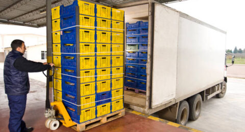 worker loading plastic crates in truck